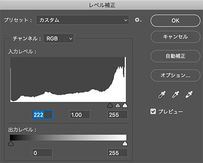 Photoshopを使ったイラストの仕上げ加工と 写真のイラスト風加工 お絵かき図鑑