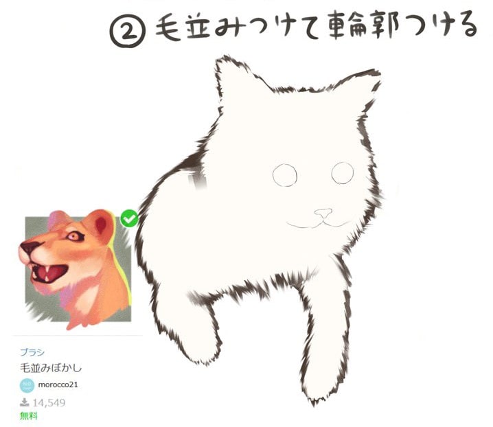 毛並みと輪郭をつける