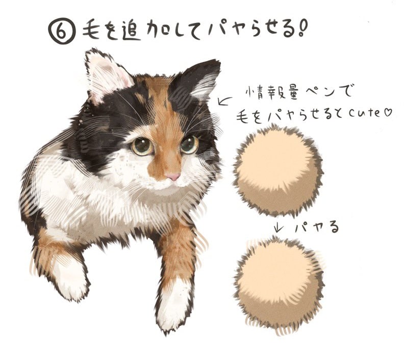 毛を追加する