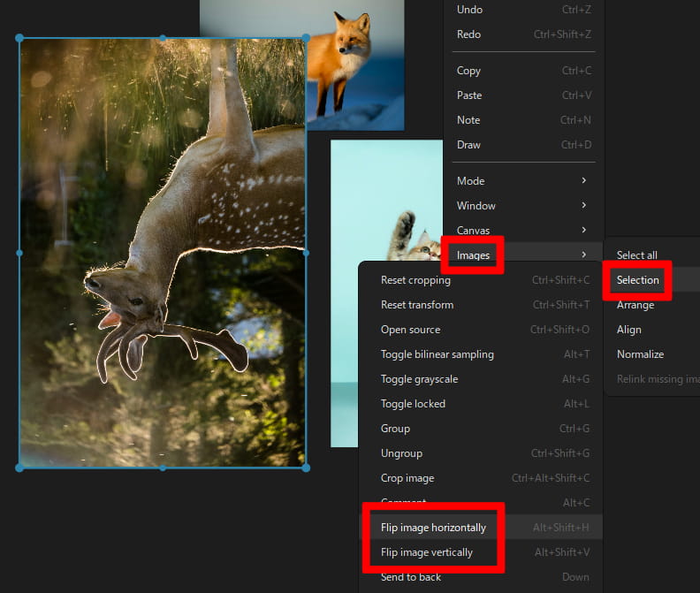 画像を左右反転／上下反転する