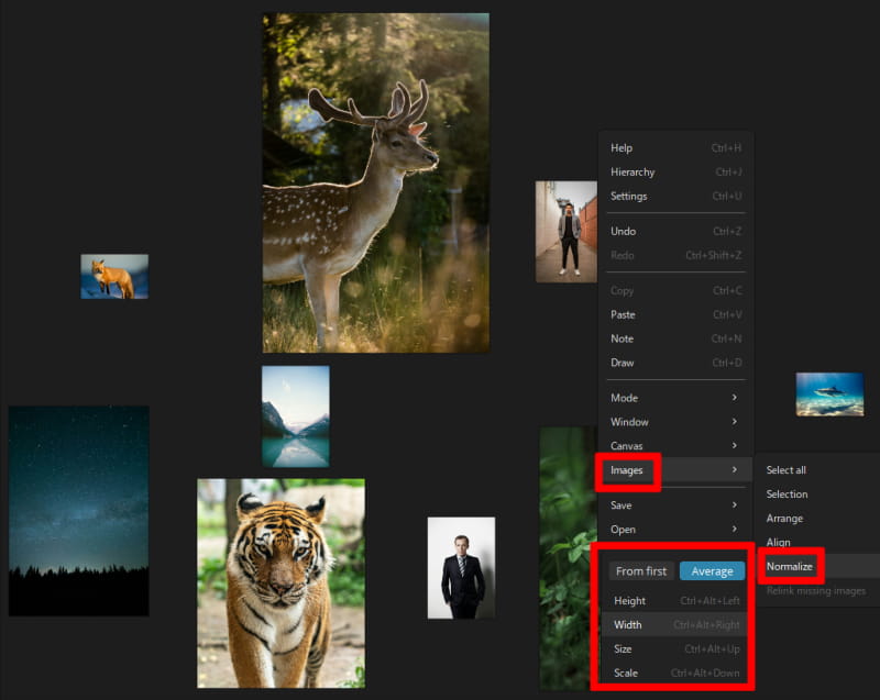 「Normalize（正規化）」を押す